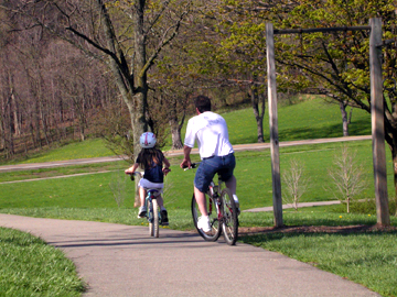 Father and daughter riding bicycles.